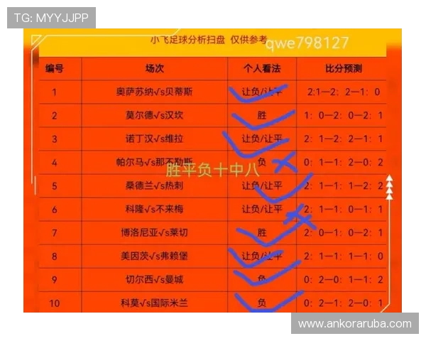 如何利用足球竞猜胜平负竞彩网的历史数据进行科学分析提高预测准确性的方法指南